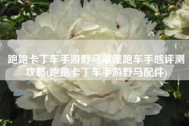 跑跑卡丁车手游野马敞篷跑车手感评测攻略(跑跑卡丁车手游野马配件)