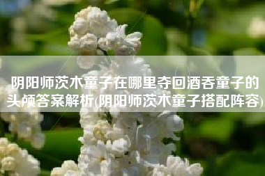阴阳师茨木童子在哪里夺回酒吞童子的头颅答案解析(阴阳师茨木童子搭配阵容)