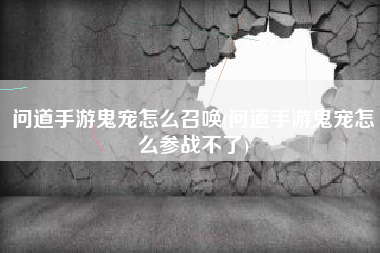 问道手游鬼宠怎么召唤(问道手游鬼宠怎么参战不了)
