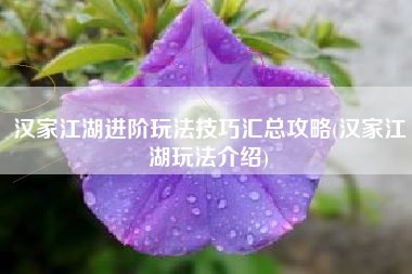 汉家江湖进阶玩法技巧汇总攻略(汉家江湖玩法介绍)