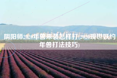 阴阳师2020年兽来袭怎样打(2020现世妖约年兽打法技巧)