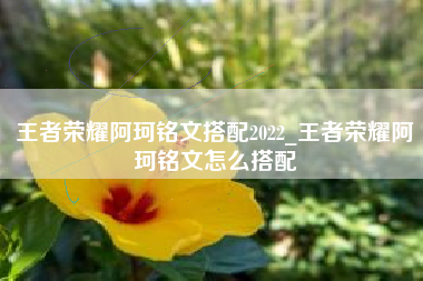 王者荣耀阿珂铭文搭配2022_王者荣耀阿珂铭文怎么搭配