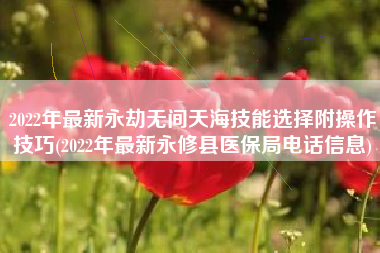2022年最新永劫无间天海技能选择附操作技巧(2022年最新永修县医保局电话信息)