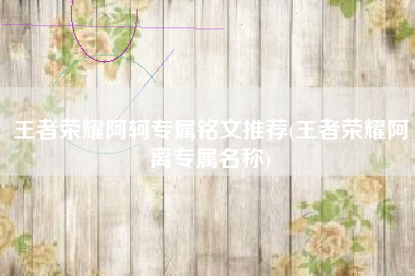 王者荣耀阿轲专属铭文推荐(王者荣耀阿离专属名称)