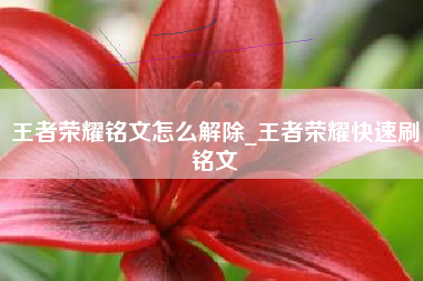 王者荣耀铭文怎么解除_王者荣耀快速刷铭文