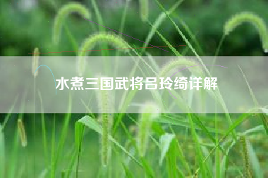 水煮三国武将吕玲绮详解
