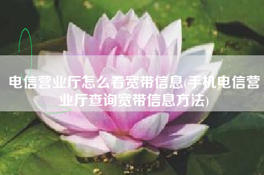 电信营业厅怎么看宽带信息(手机电信营业厅查询宽带信息方法)