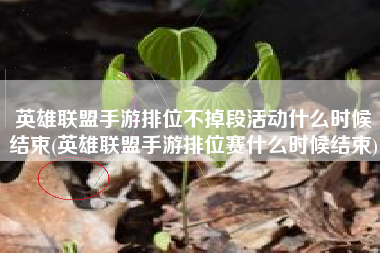 英雄联盟手游排位不掉段活动什么时候结束(英雄联盟手游排位赛什么时候结束)