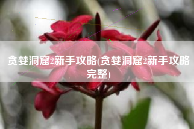 贪婪洞窟2新手攻略(贪婪洞窟2新手攻略完整)