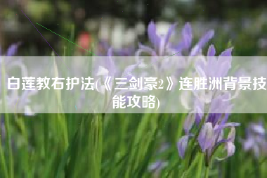 白莲教右护法(《三剑豪2》连胜洲背景技能攻略)