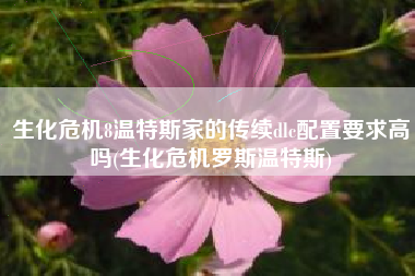 生化危机8温特斯家的传续dlc配置要求高吗(生化危机罗斯温特斯)