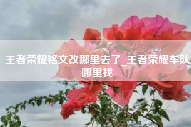 王者荣耀铭文改哪里去了_王者荣耀车队哪里找