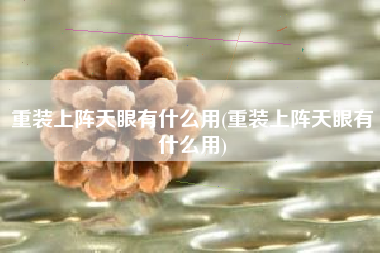 重装上阵天眼有什么用(重装上阵天眼有什么用)