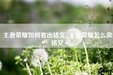 王者荣耀如何看出铭文_王者荣耀怎么卖铭文