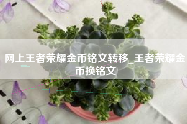 网上王者荣耀金币铭文转移_王者荣耀金币换铭文