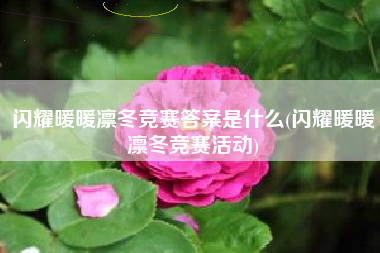 闪耀暖暖凛冬竞赛答案是什么(闪耀暖暖凛冬竞赛活动)