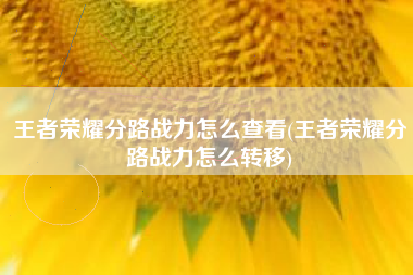 王者荣耀分路战力怎么查看(王者荣耀分路战力怎么转移)
