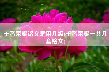 王者荣耀铭文是用几级(王者荣耀一共几套铭文)