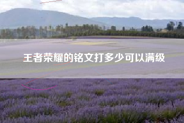 王者荣耀的铭文打多少可以满级