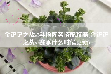 金铲铲之战s7斗枪阵容搭配攻略(金铲铲之战s7赛季什么时候更新)