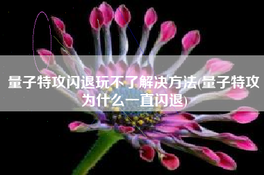 量子特攻闪退玩不了解决方法(量子特攻为什么一直闪退)