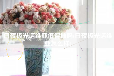 白夜极光诺维亚值得抽吗(白夜极光诺维亚怎么样)