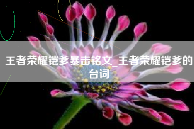 王者荣耀铠爹暴击铭文_王者荣耀铠爹的台词