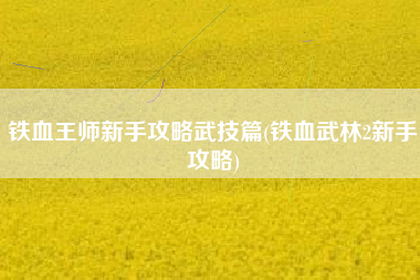铁血王师新手攻略武技篇(铁血武林2新手攻略)
