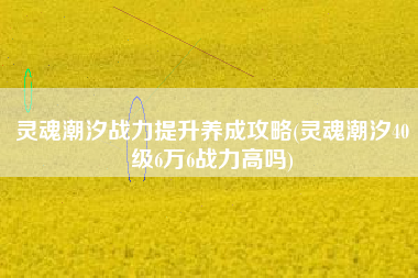 灵魂潮汐战力提升养成攻略(灵魂潮汐40级6万6战力高吗)