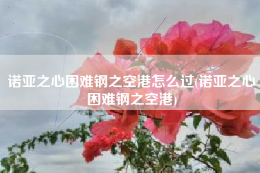 诺亚之心困难钢之空港怎么过(诺亚之心困难钢之空港)