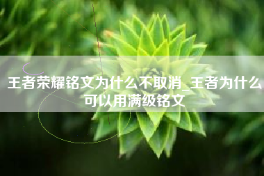 王者荣耀铭文为什么不取消_王者为什么可以用满级铭文