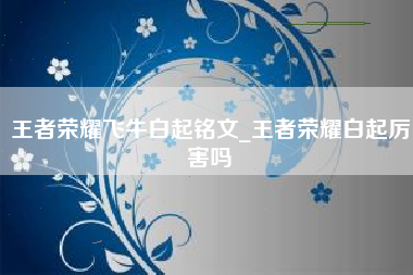 王者荣耀飞牛白起铭文_王者荣耀白起厉害吗