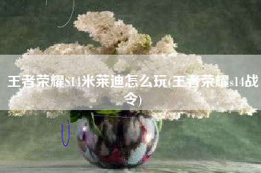 王者荣耀S14米莱迪怎么玩(王者荣耀s14战令)