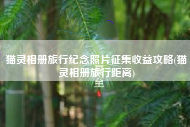 猫灵相册旅行纪念照片征集收益攻略(猫灵相册旅行距离)