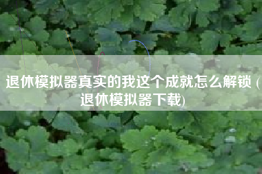 退休模拟器真实的我这个成就怎么解锁 (退休模拟器下载)