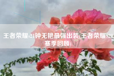 王者荣耀s21钟无艳最强出装(王者荣耀S21赛季回顾)