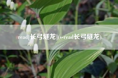 read[长弓燧龙](s-read长弓燧龙)