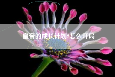 皇帝的成长计划2怎么开局