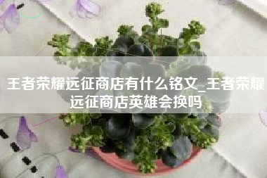 王者荣耀远征商店有什么铭文_王者荣耀远征商店英雄会换吗