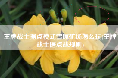 王牌战士据点模式雪原矿场怎么玩(王牌战士据点战规则)
