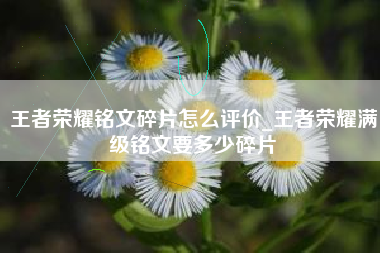 王者荣耀铭文碎片怎么评价_王者荣耀满级铭文要多少碎片