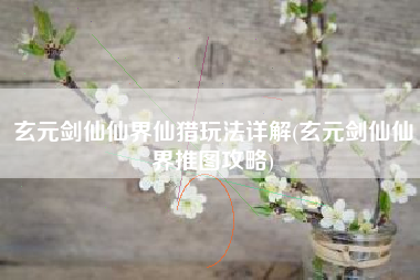 玄元剑仙仙界仙猎玩法详解(玄元剑仙仙界推图攻略)