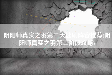 阴阳师真实之羽第二天速刷阵容推荐(阴阳师真实之羽第二阶段攻略)