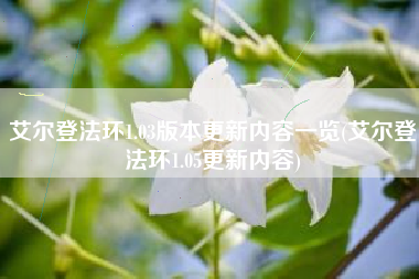 艾尔登法环1.03版本更新内容一览(艾尔登法环1.05更新内容)