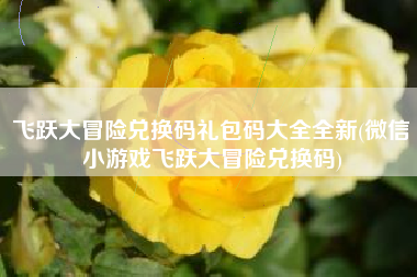 飞跃大冒险兑换码礼包码大全全新(微信小游戏飞跃大冒险兑换码)