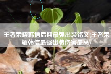 王者荣耀韩信后期最强出装铭文(王者荣耀韩信最强出装伤害最高)