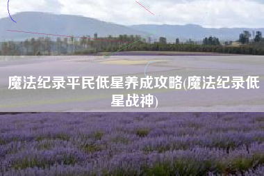 魔法纪录平民低星养成攻略(魔法纪录低星战神)