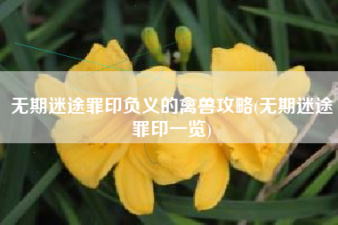 无期迷途罪印负义的禽兽攻略(无期迷途罪印一览)
