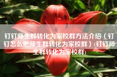 钉钉师生群转化为家校群方法介绍（钉钉怎么把师生群转化为家校群）(钉钉师生群转化为家校群)