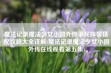 魔法记录魔法少女小圆外传平民阵容搭配攻略大全详解(魔法记录魔法少女小圆外传在线观看第五集)